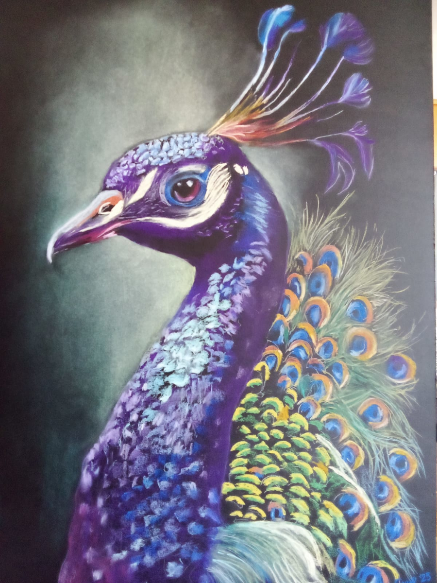 Peacock