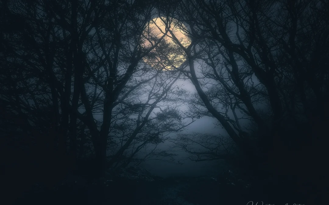 🌟 The Magic Preserved: Our Winter Solstice Sacred Dance 2025 is Here! 🌟