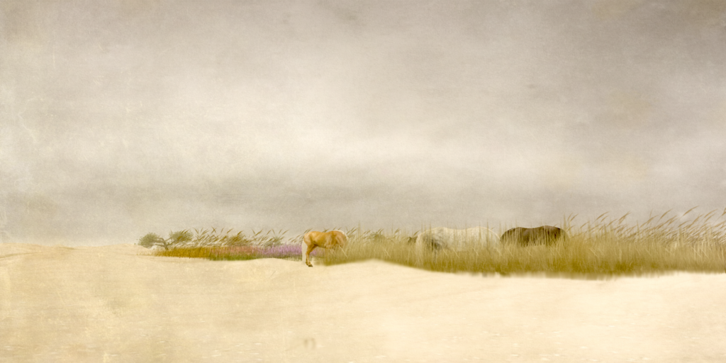 The White Series: Mareea Farrasco’s Whispers of Light and Memory